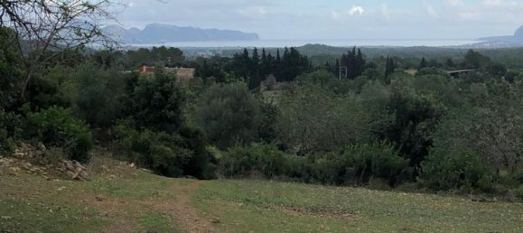  Villa in Pollenca, Spain No. 14171 9