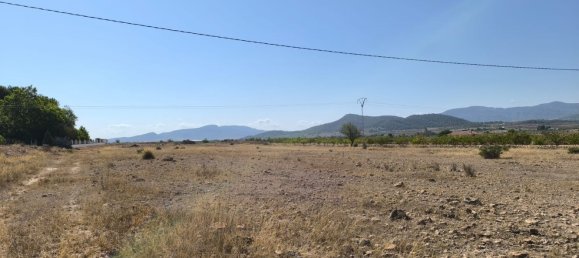 Terreno en Pinoso, Spain 14146 m² No. 139426 2