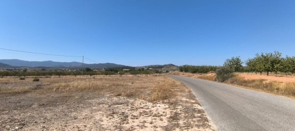 Terreno en Pinoso, Spain 14146 m² No. 139426 3