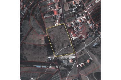 Земельный участок 20600м² в Торриш Ведраш, Португалия № 354232