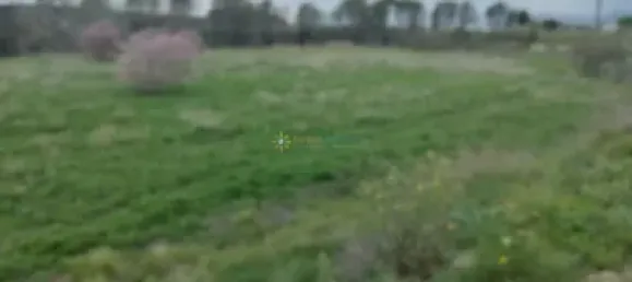 Земельный участок в Валенсия, Испания № 138219 3