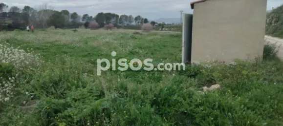 Земельный участок в Валенсия, Испания № 138219 5