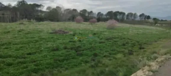 Земельный участок в Валенсия, Испания № 138219 7