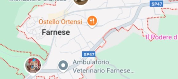 1 bedroom Apartment in Farnese, Italy No. 301833 7