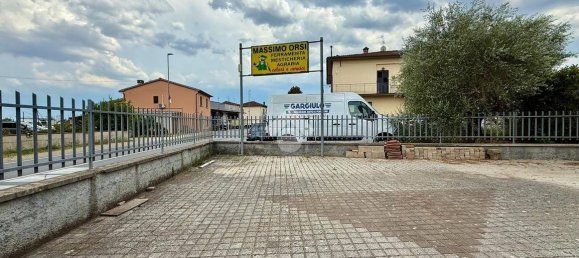 Studio in Quarrata, Italy No. 292093 6