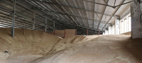 Entrepôt à Sommerda, Germany 6160m² No. 348956 13