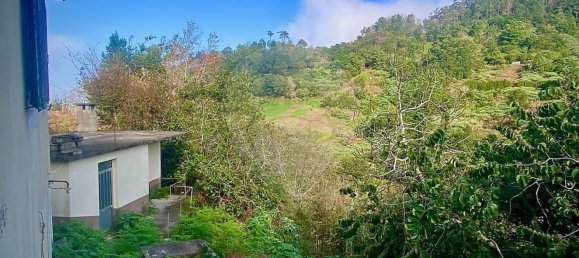 8 غرف نوم منزل في Santana, Portugal رقم 184516 20