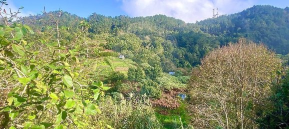 8 غرف نوم منزل في Santana, Portugal رقم 184516 14