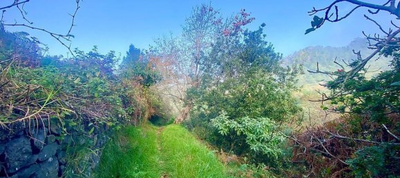 8 غرف نوم منزل في Santana, Portugal رقم 184516 19