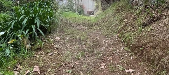 8 غرف نوم منزل في Santana, Portugal رقم 184516 3