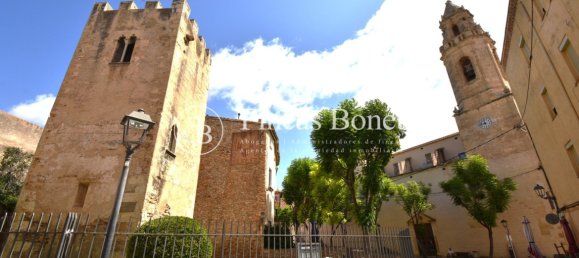 1 bedroom Apartment in Torredembarra, Spain No. 169102 25