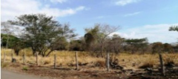 Земельный участок в Оротина, Коста-Рика № 1486 2