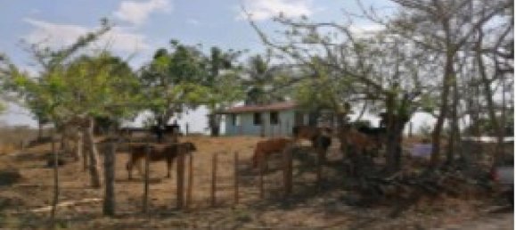 Земельный участок в Оротина, Коста-Рика № 1486 3