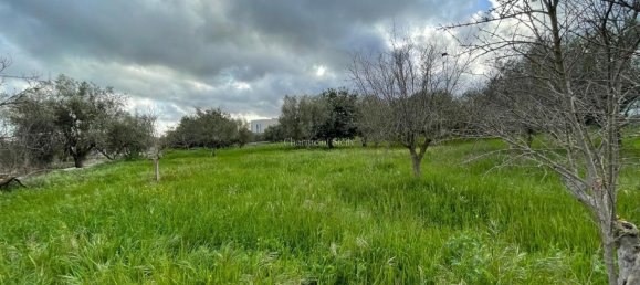 3غرفة منزل في Modica, Italy رقم 224896 11