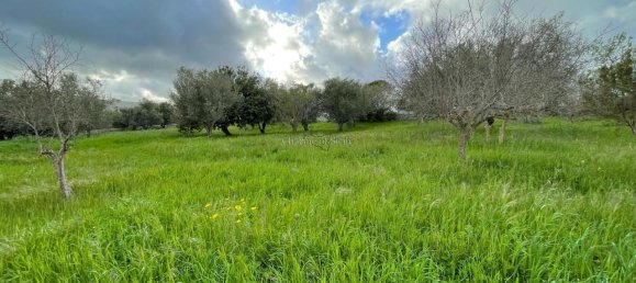 3غرفة منزل في Modica, Italy رقم 224896 5