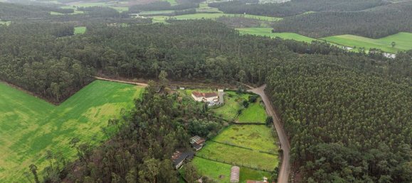 3 chambres Maison à Balazar, Portugal No. 177677 10