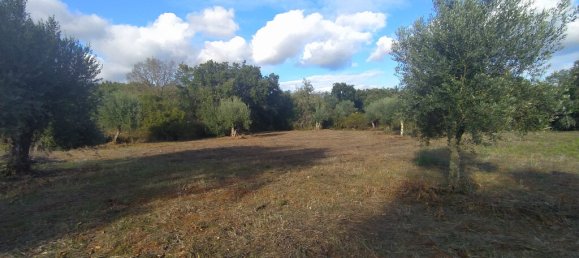 Casa T2 em Ferreira do Zêzere, Portugal N.º 14490 29