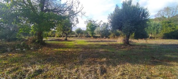 Casa T2 em Ferreira do Zêzere, Portugal N.º 14490 25