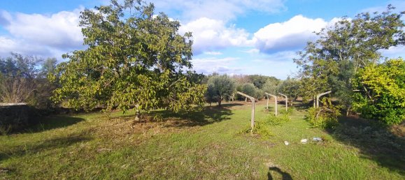 Casa T2 em Ferreira do Zêzere, Portugal N.º 14490 31
