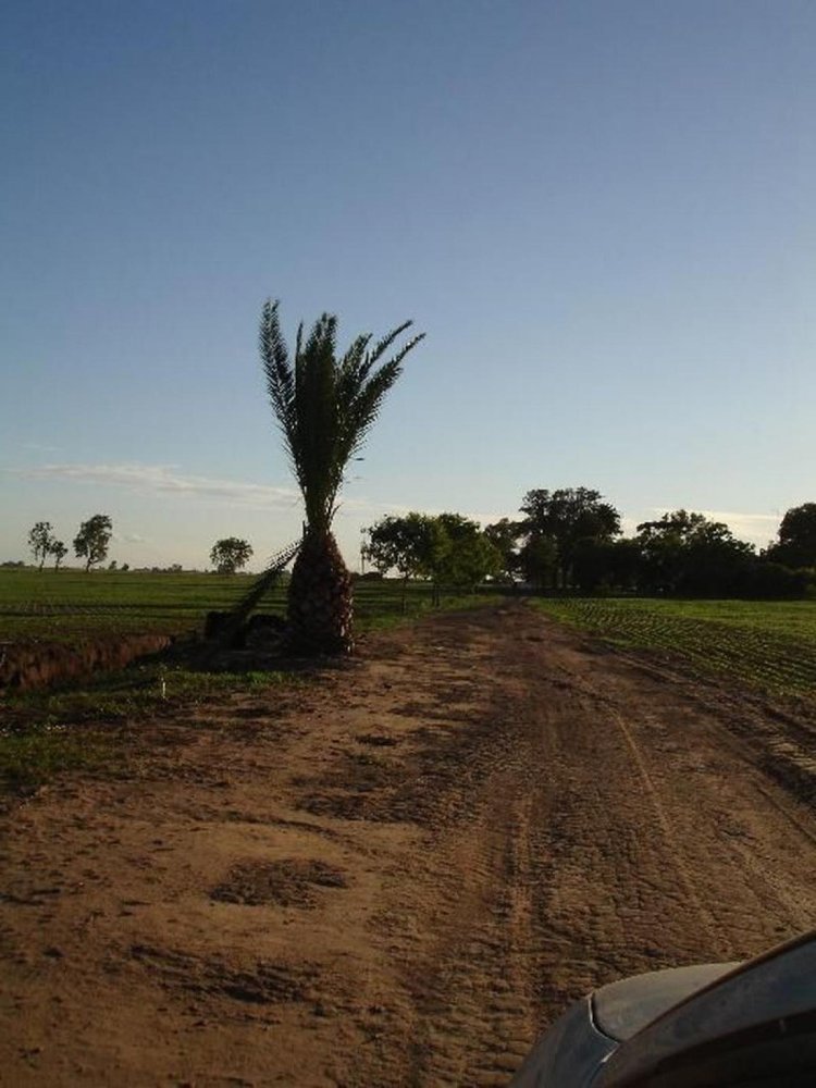  Land in General Rodriguez, Argentina No. 116958
