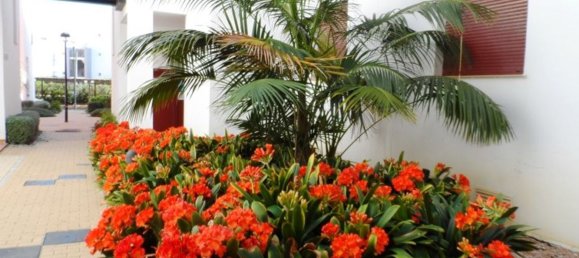 2 chambres Appartement à Vera, Spain No. 66062 35