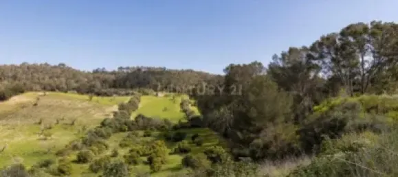 6 غرف نوم منزل في Inca, Spain رقم 170976 39