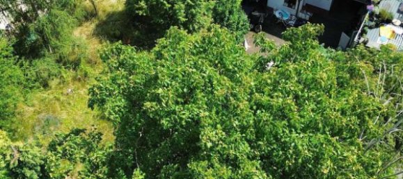  Land in Frankfurt am Main, Germany No. 257044 11