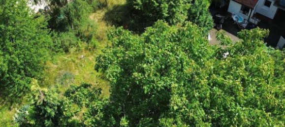  Land in Frankfurt am Main, Germany No. 257044 12