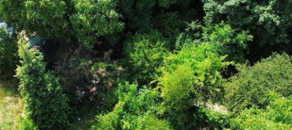  Land in Frankfurt am Main, Germany No. 257044 8