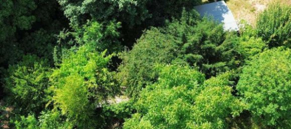  Land in Frankfurt am Main, Germany No. 257044 7