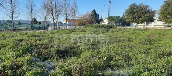 Grundstück in Viseu, Portugal 233m², Nr. 45037 3