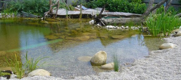 3 rooms Building in Gollersdorf, Austria No. 184530 49