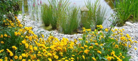 3 rooms Building in Gollersdorf, Austria No. 184530 46