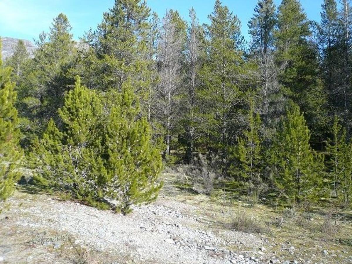 Terreno em Chubut, Argentina N.º 40207