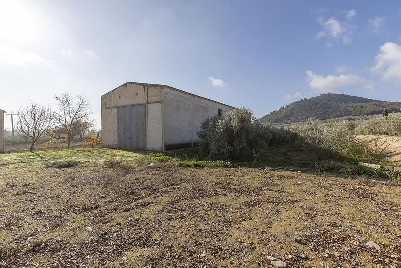 Terreno em Peligros, Spain 299 m² N.º 221031