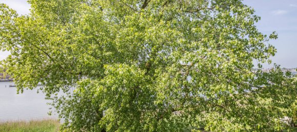 Apartamento T2 em Schleswig-Flensburg, Germany N.º 95074 33