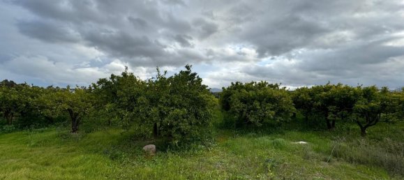 4 bedrooms House in Alhaurin el Grande, Spain No. 141069 20