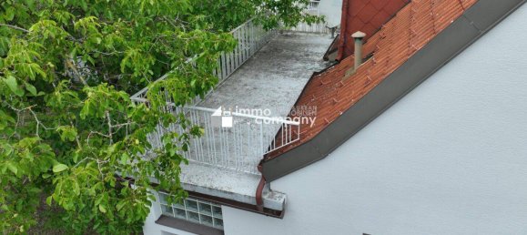 4-Zimmer Haus in Trautmannsdorf an der Leitha, Austria, Nr. 234434 3