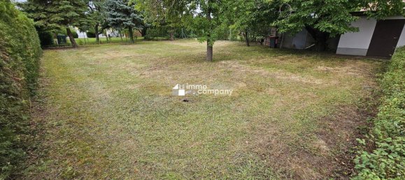 4-Zimmer Haus in Trautmannsdorf an der Leitha, Austria, Nr. 234434 7