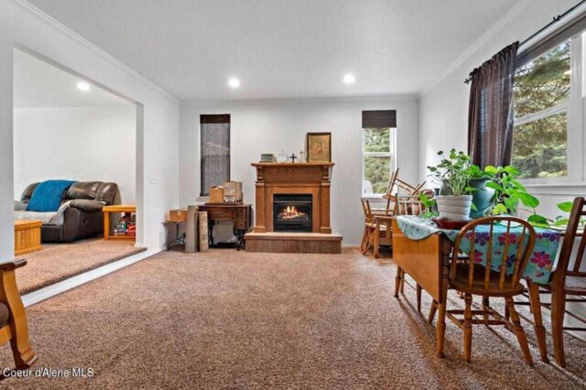 5 bedrooms House in Hayden, USA No. 378846