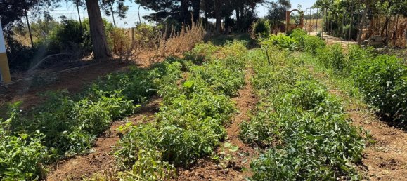 4 bedrooms House in Cadiz, Spain No. 166578 28