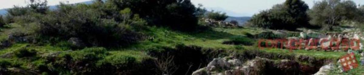 terreno en venta en Palmela, Setubal, Portugal № 8652