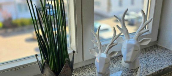 2 bedrooms Apartment in Baden-Wurttemberg, Germany No. 33065 8