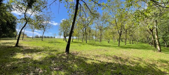 3 Schlafzimmer Haus in Civitella in Val di Chiana, Italy, Nr. 371974 7