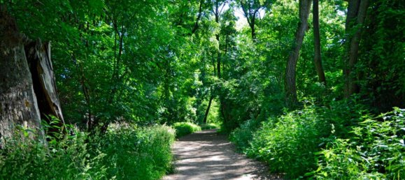 3-salle Penthouse à Vienna, Austria No. 159446 35