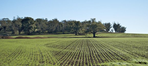 Terreno en Montevarchi, Italy 12000 m² No. 233694 3