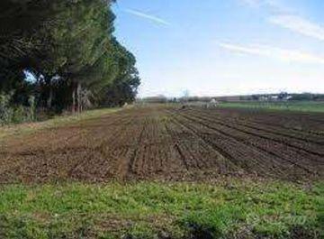 Terreno en Montevarchi, Italy 12000 m² No. 233694