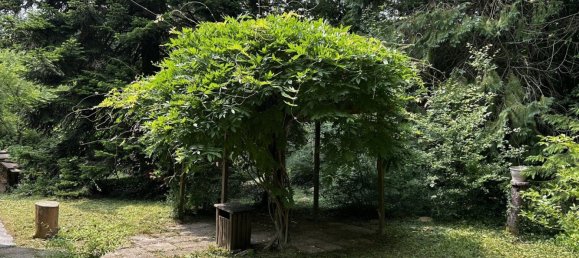 4 Schlafzimmer Haus in Yonne, France, Nr. 308076 10