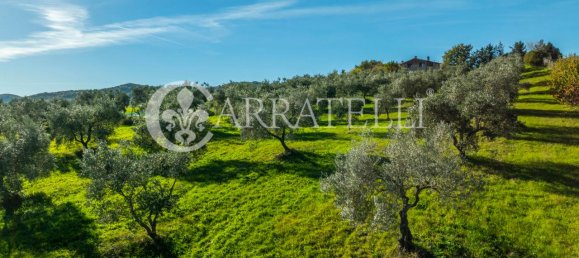 8 rooms House in Fabro, Italy No. 234495 10