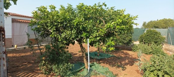 2 chambres Maison à El Higueron, Spain No. 159084 37